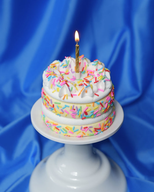 Birthday Cake slime kit