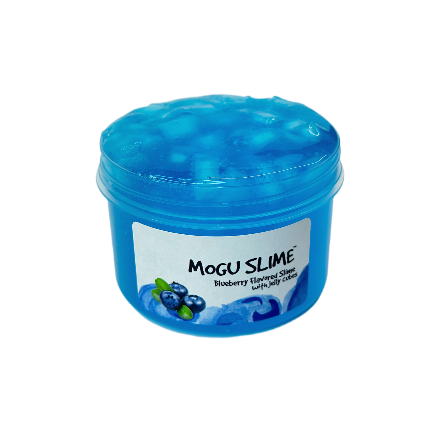 Mogu Slime Blueberries