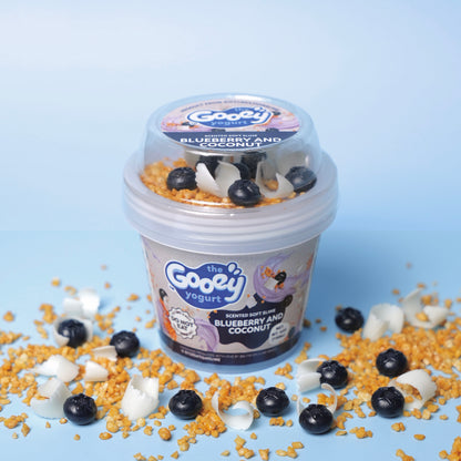 BLUEBERRY AND COCONUT GOOEY YOGURT